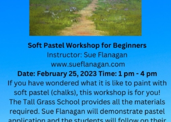 Soft Pastel Workshop for Beginners